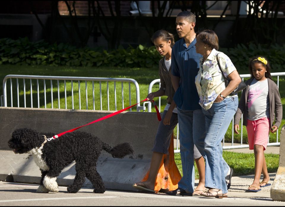 Bo Obama's Busy Summer (PHOTOS) | HuffPost Life