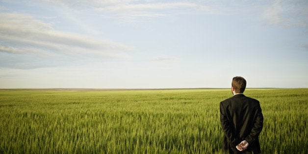 Businessman standing in wheat field looking out