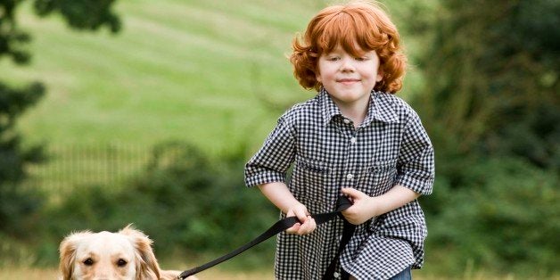 Boy walking dog