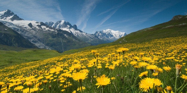 Took this photo for someone special. Day 11. Hiking between Tre le Champ and Forclatz. Tour of Mt. Blanc.LARGE