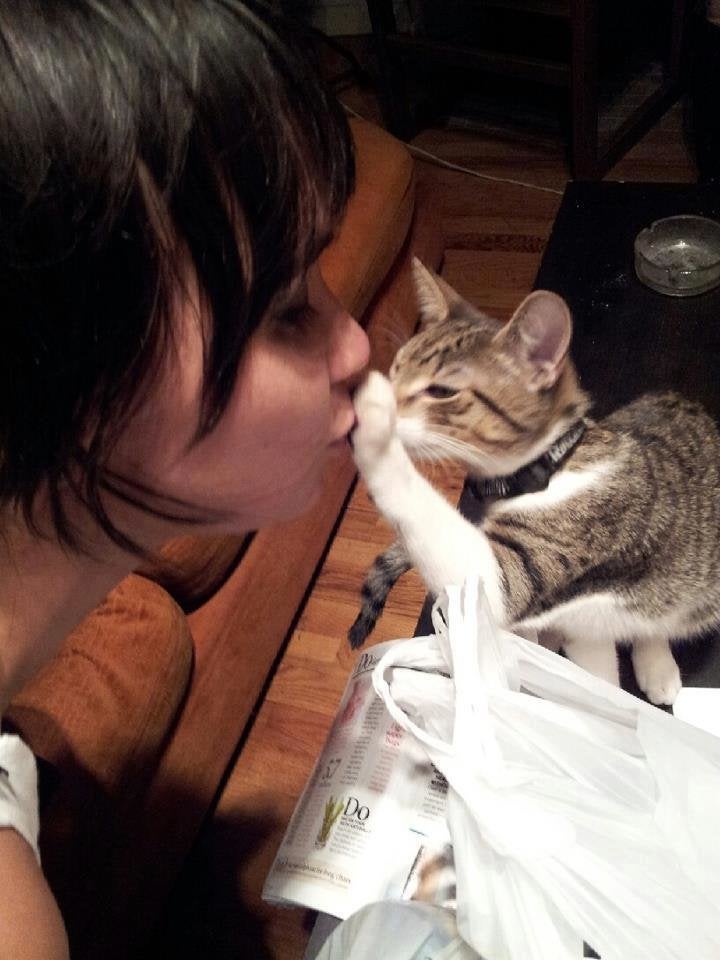 double leash no pull harness