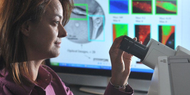 Argonne's Center for Nanoscale Materials Scientist Elena Rozhkova examines brain cancer cells under a microscope. Rozhkova, a