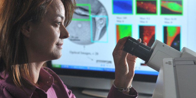 Argonne's Center for Nanoscale Materials Scientist Elena Rozhkova examines brain cancer cells under a microscope. Rozhkova, along with researchers from the University of Chicago, have developed a way to attach a antibody to nanomaterial titanium dioxide and kill brain cancer cells. Read the full story here!Photo courtesy Argonne National Laboratory.