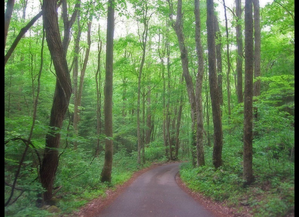 Great Smoky Mountains