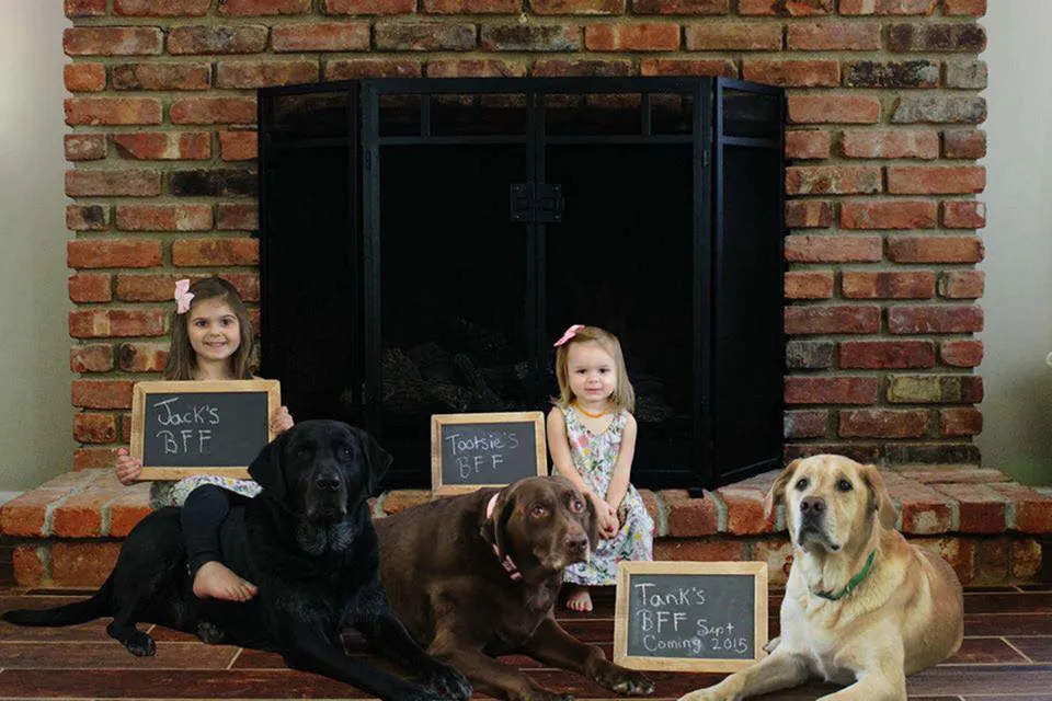 Pregnancy Announcement Ideas That Include Dogs
