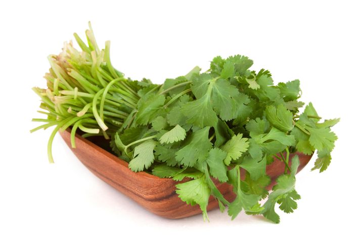 fresh organic cilantro with...
