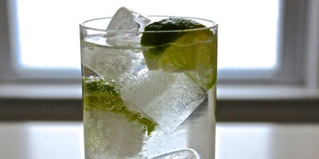 The Perfect Gin and Tonic Recipe - Shake Drink Repeat