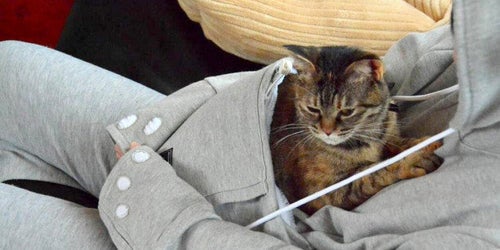 The Mewgaroo Sweatshirt Lets You Be A Kangaroo Mom To Your Pet HuffPost Life