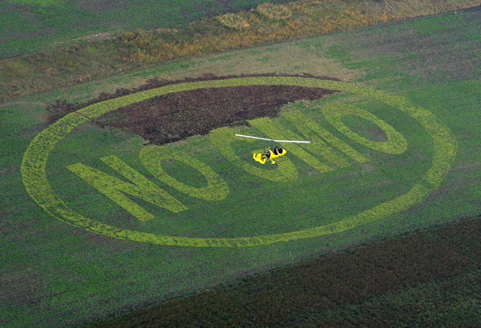 Supreme Court Justice: Monsanto Seed Saving By Indiana Farmer Is Like Supreme Court Justice: Monsanto Seed Saving By Indiana Farmer Is Like
