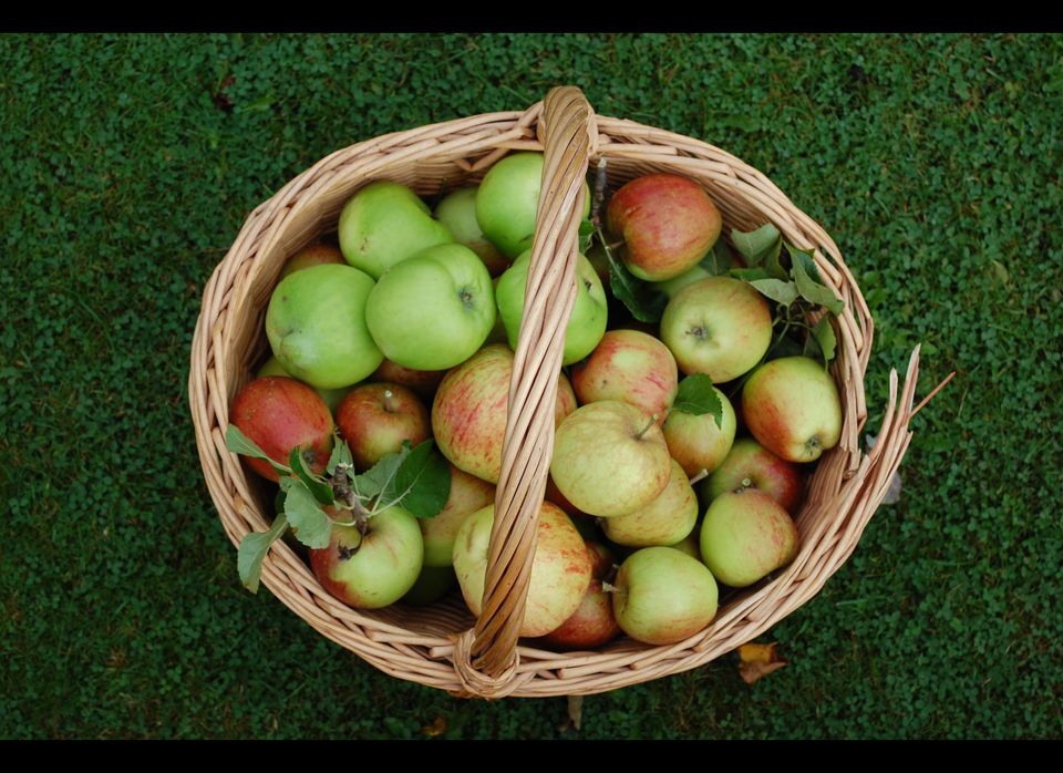 Apples Lower Cholesterol
