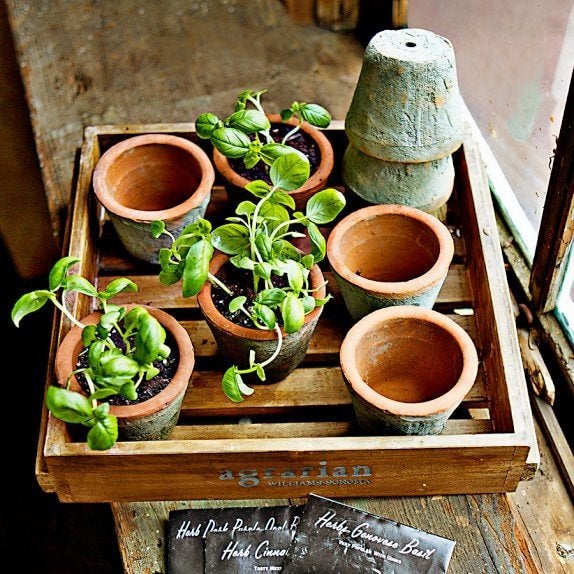 Rustic Seedling Pots In Wood Crate With Seeds