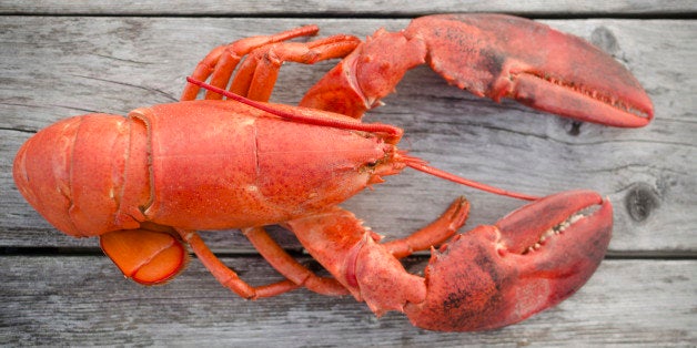 7 Things You May Not Know About Lobsters and Their History