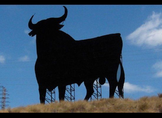 Grabbing the Bull by the Horns on Spain's Highways 