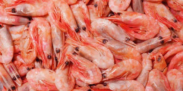 Seafood types deals