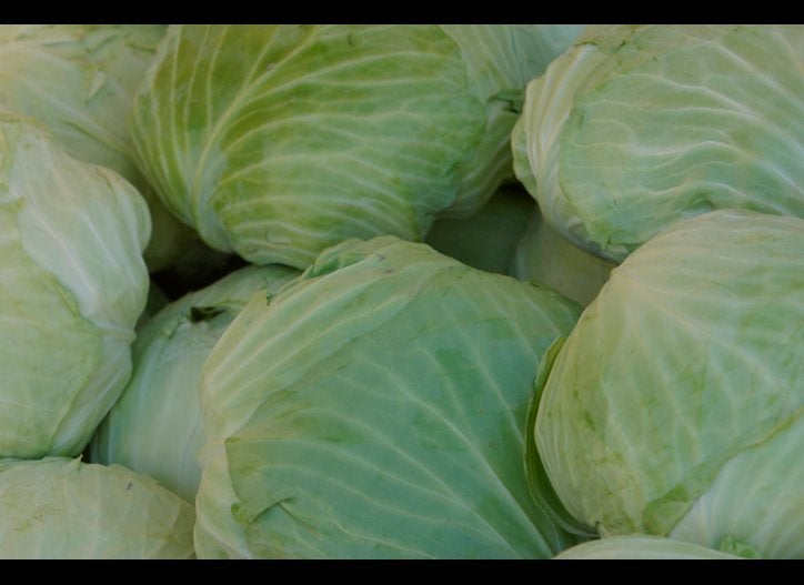 Cabbage