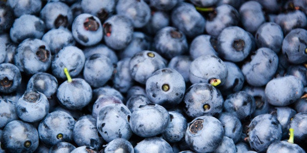 From Larsen Lake Blueberry Farms, a bucket of freshly picked blueberries.