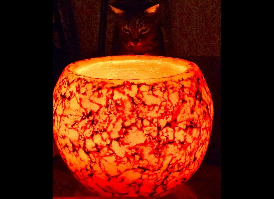 Cat and Candle