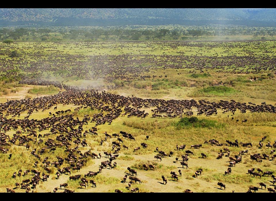 Tanzania Serengeti Highway