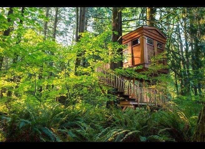 10 Incredible Tree House Hotels In The U S Huffpost Life