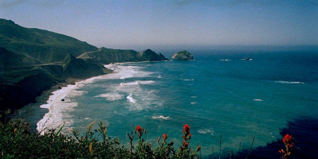 Wildflowers underscore the Pacific coast at Big Sur, Calif., is shown in this undated photo. (AP Photo)