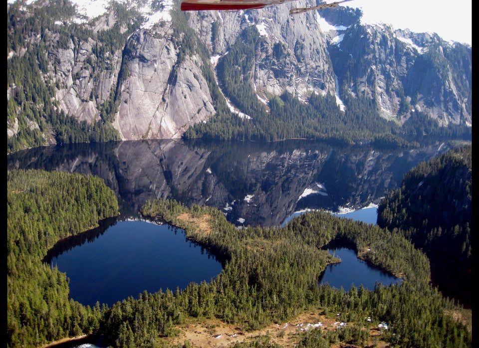 Tongass National Forest, Alaska