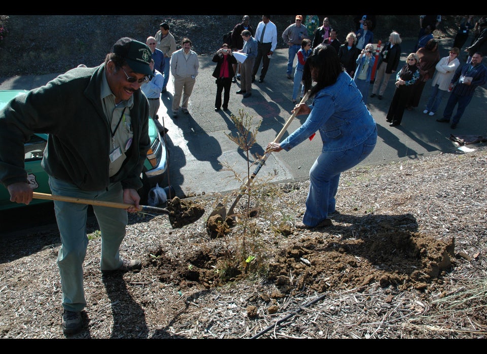 1. On-the-Job Volunteering