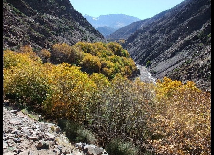 Walnut Trees in the Azzanane Valley