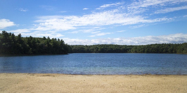 Shoreline and kettle pond in Walden Woods, Massachusetts.