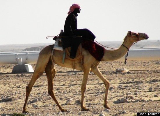 Bedouin in the Qatari Desert