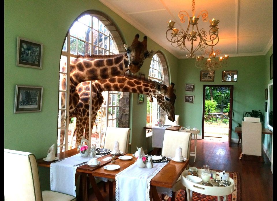 Dine with Giraffes in Nairobi