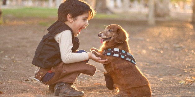 Halloween dog costumes of 2019 that are undeniably adorable.