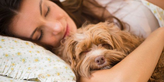 Caucasian woman hugging pet dog in bed