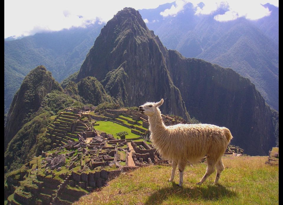 Trekking the Inca Trail to Machu Pichu