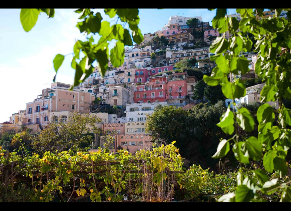 Positano through lemon trees