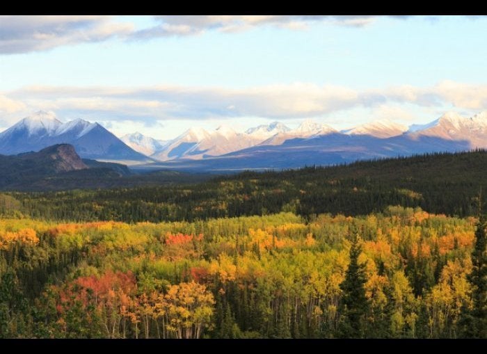 Denali National Park—Alaska