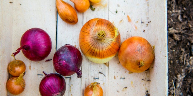 Close up of crate of variety of onions