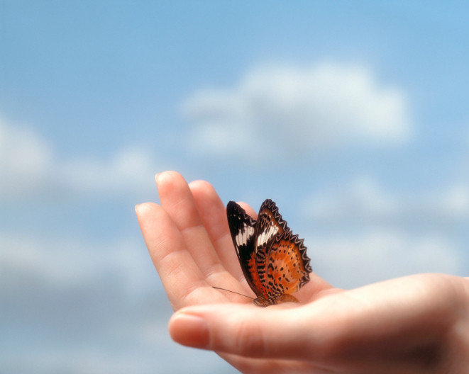 The 5 Principles Of Personal Transformation | HuffPost Life