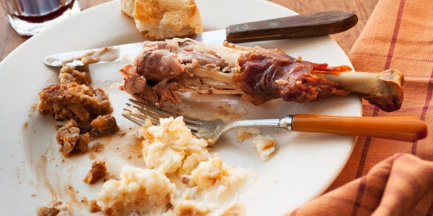 Studio shot of turkey leg with potatoes