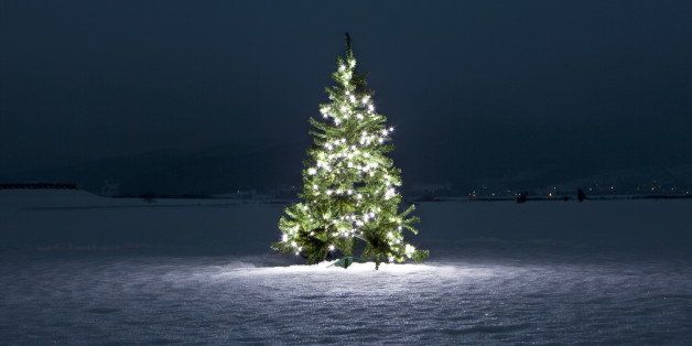 Illuminated christmas tree on the snow at night