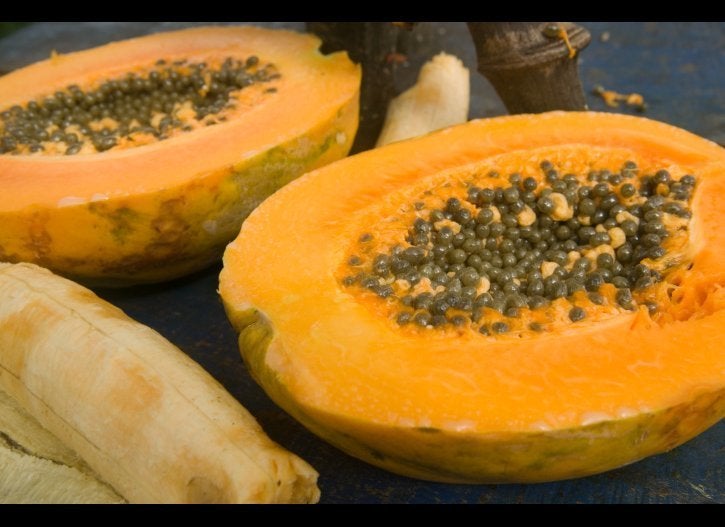 Papaya 