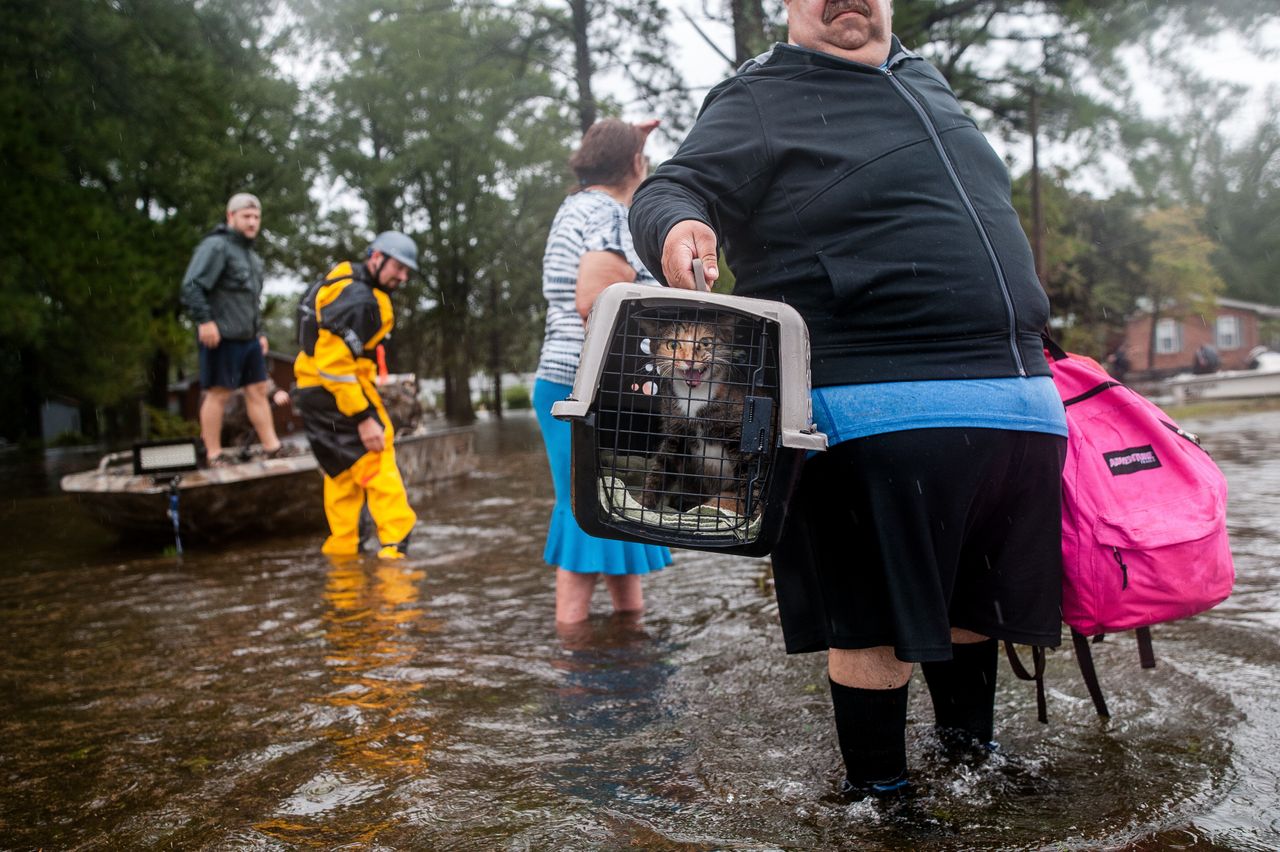 Orlando Collazo holds a pet carrier with his family's cats, Princess and Gizmo, after they were pulled from their flooded home by members of the Cajun Navy in Lumberton, North Carolina, on Sunday.