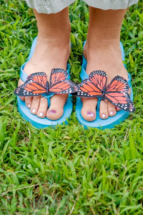 How Much Bacteria Accumulated After Wearing Flip-Flops in NYC