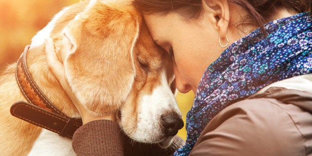 Woman with her dog tender scene
