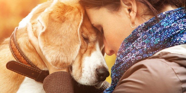 Woman with her dog tender scene 