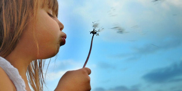 Blowing dandelion 4