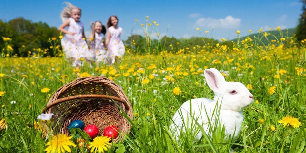 Easter bunny watching the egg hunt