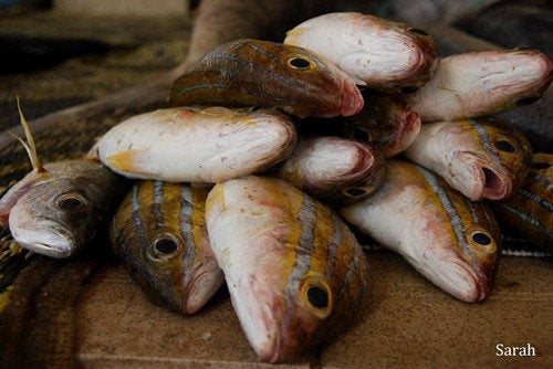 British Tourist Complains That Fishing Attraction Smells Of Fish