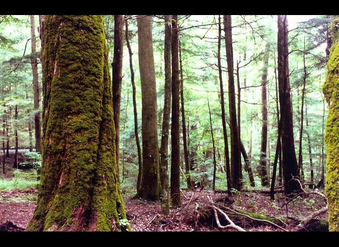  Great Smoky Mountains National Park