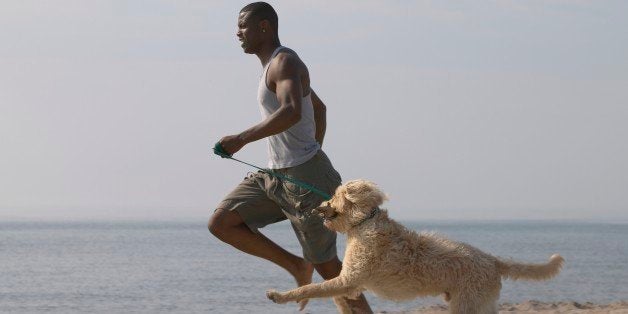 how do you jog with your dog