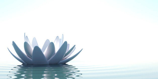 A Zen lotus flower in clam water on white background